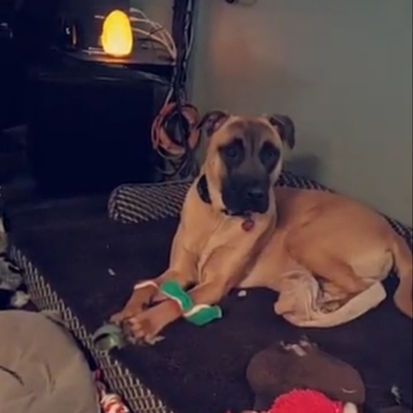 Meet your Posher, Christine - Picture 4 of 6